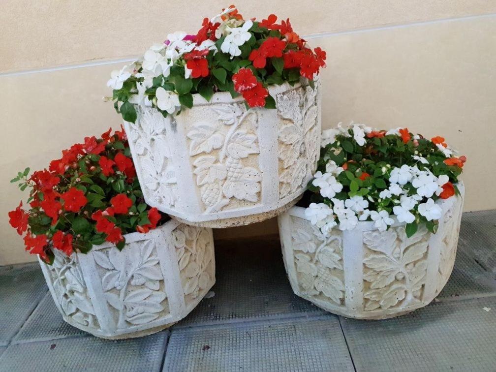 Анси Πομόριε Εξωτερικό φωτογραφία
